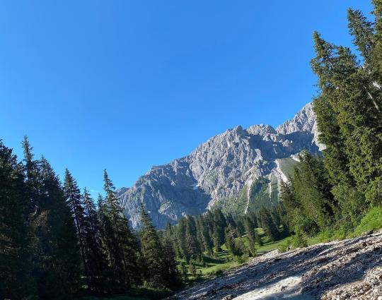 re-zirmkieferweg-sommer-1