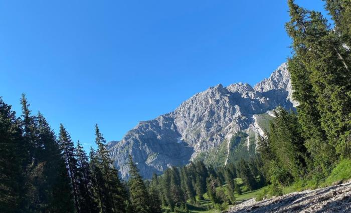 re-zirmkieferweg-sommer-1